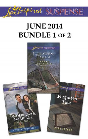 Cover of the book Love Inspired Suspense June 2014 - Bundle 1 of 2 by M. Ryan