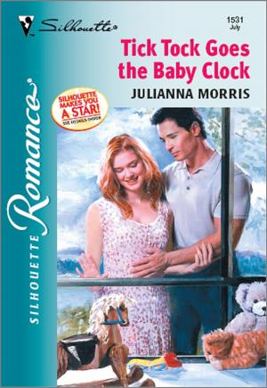 Book cover of Tick Tock Goes the Baby Clock