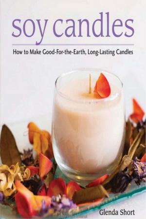Cover of the book Soy Candles by Sharon Hernes Silverman, Annie Modesitt