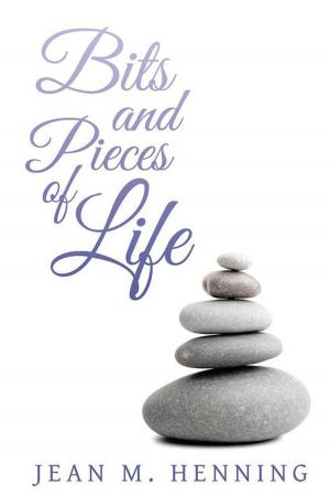 Cover of the book Bits and Pieces of Life by M. G. Walker