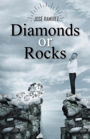 Cover of the book Diamonds or Rocks by Larry Burk, M.D., C.E.H.P., Kathleen O’Keefe-Kanavos
