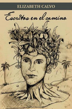 Cover of the book Escritos En El Camino by Tanja Netscher