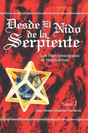 Cover of the book Desde El Nido De La Serpiente by Luz Herrera