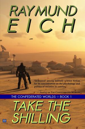 Cover of the book Take the Shilling by Raymund Eich