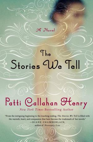 Cover of the book The Stories We Tell by Joan Hess