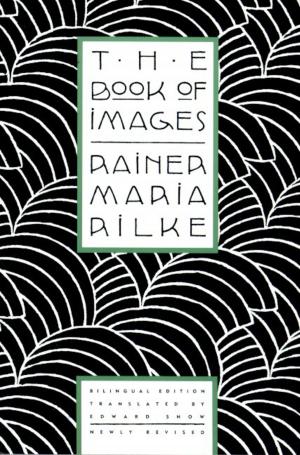 Cover of the book The Book of Images by Elizabeth Bishop