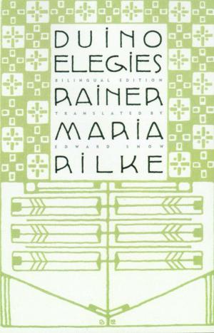 Cover of the book Duino Elegies by Jane E Libeau
