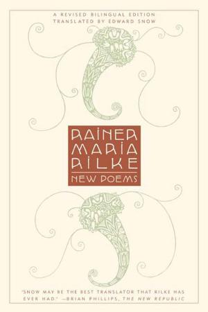 Cover of the book New Poems by David Grossman