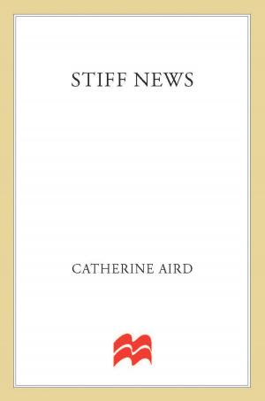 Cover of the book Stiff News by D. E. Ireland