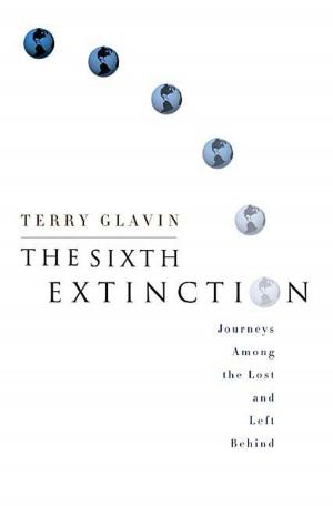 Cover of the book The Sixth Extinction by Anton Gill