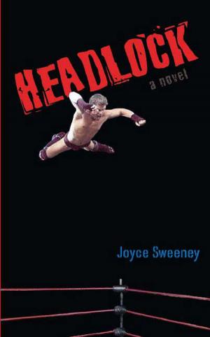 Cover of the book Headlock by Tracy Barrett