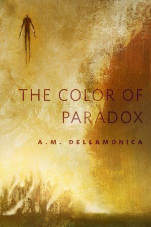 Cover of the book The Color of Paradox by Stacey Kade