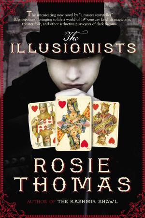 Cover of the book The Illusionists by Tom Angleberger