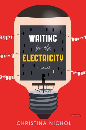 Cover of the book Waiting for the Electricity by Yvette van Boven