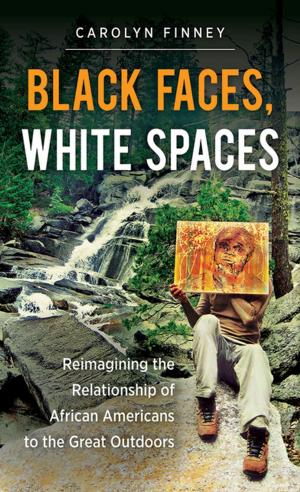 Cover of the book Black Faces, White Spaces by Leonie van de Vorle