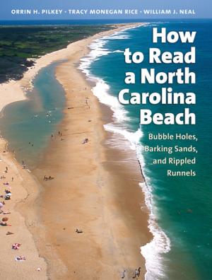Cover of the book How to Read a North Carolina Beach by Anthony E. Kaye