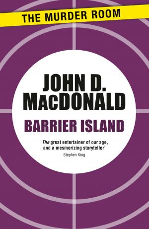 bigCover of the book Barrier Island by 