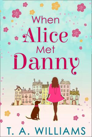 Cover of the book When Alice Met Danny by TP Fielden