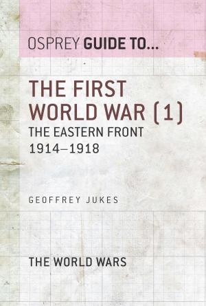 Book cover of The First World War (1)