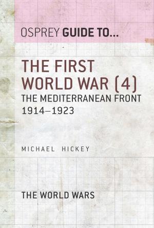 Book cover of The First World War (4)