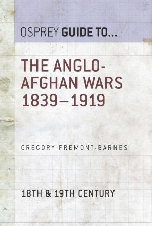 Book cover of The Anglo-Afghan Wars 1839–1919