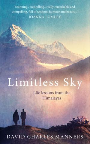 Book cover of Limitless Sky