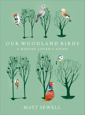 Cover of the book Our Woodland Birds by Alison Tyler