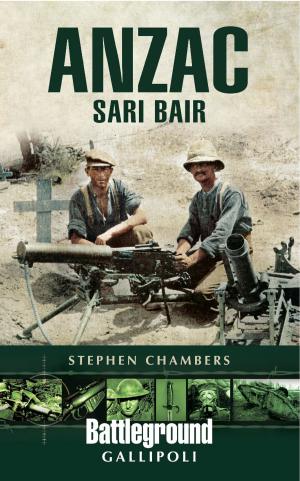 Cover of the book Anzac by Stephen  Manning