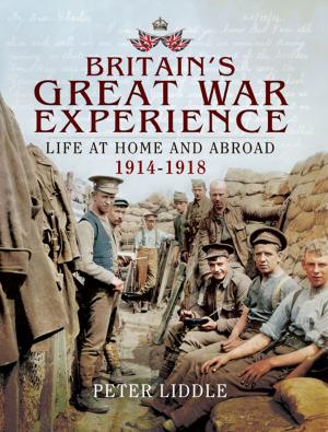 Book cover of Britain's Great War Experience