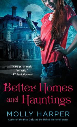 Cover of the book Better Homes and Hauntings by Dafydd ab Hugh, Brad Linaweaver