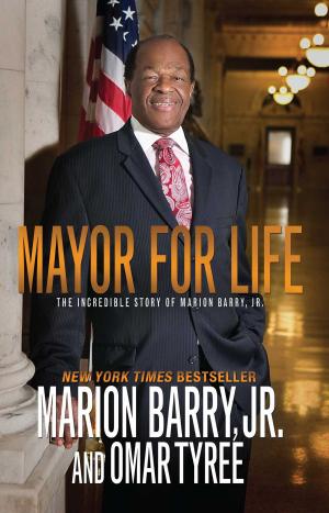 Cover of the book Mayor for Life by Yvette Steele