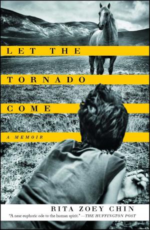 bigCover of the book Let the Tornado Come by 