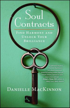 Cover of the book Soul Contracts by Cathy Alter