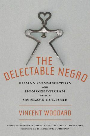 Cover of the book The Delectable Negro by Rachel Lee Rubin