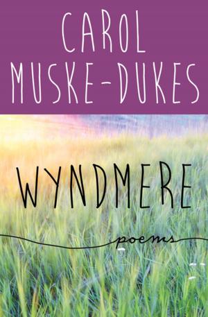 Cover of the book Wyndmere by Anne Mazer