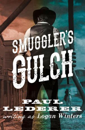 Cover of the book Smuggler's Gulch by Anne Mazer