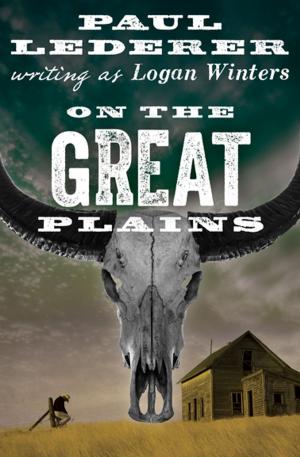 Cover of the book On the Great Plains by Elizabeth A. Lynn