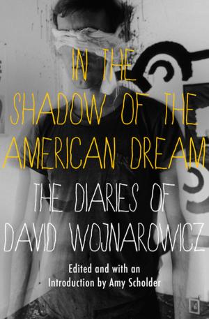 Book cover of In the Shadow of the American Dream