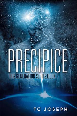 Cover of the book Precipice by Claire M. Callan