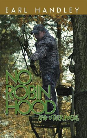 Cover of the book No Robin Hood by Hedley J. Cox