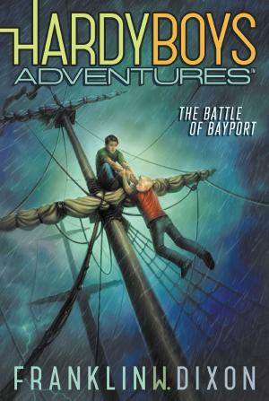 Cover of the book The Battle of Bayport by L.J. Smith