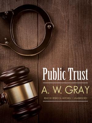 Cover of the book Public Trust by Rosanne Kohake