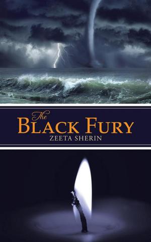 Cover of the book The Black Fury by Ridhima Patni Jain