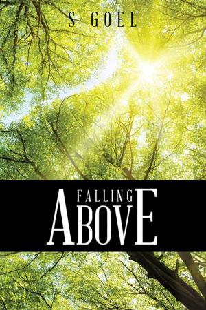 Cover of the book Falling Above by Vanaja Banagiri