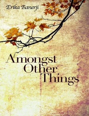 Cover of the book Amongst Other Things by Evie Lester