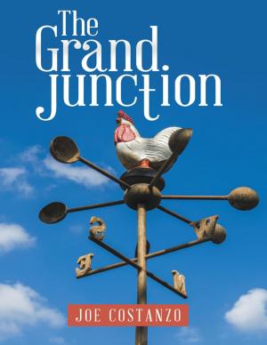 Cover of the book The Grand Junction by Joseph C. Maroon, MD, FACS, Jeff Bost, PAC
