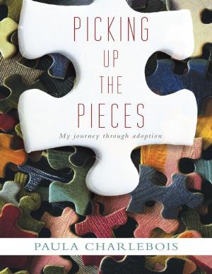 Cover of the book Picking Up the Pieces: My Journey Through Adoption by J. Hayes Hurley