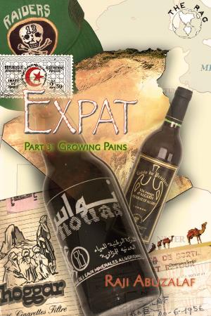 Cover of the book Expat by Johnathan  Rain