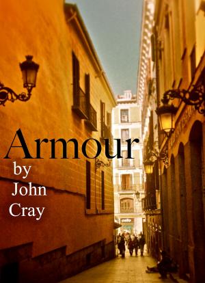 Cover of the book Armour by Raymond E. Smith
