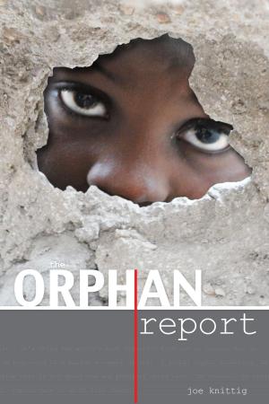 Cover of the book The Orphan Report by Beth Brascugli De Lima